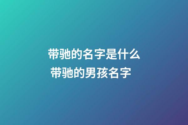 带驰的名字是什么 带驰的男孩名字